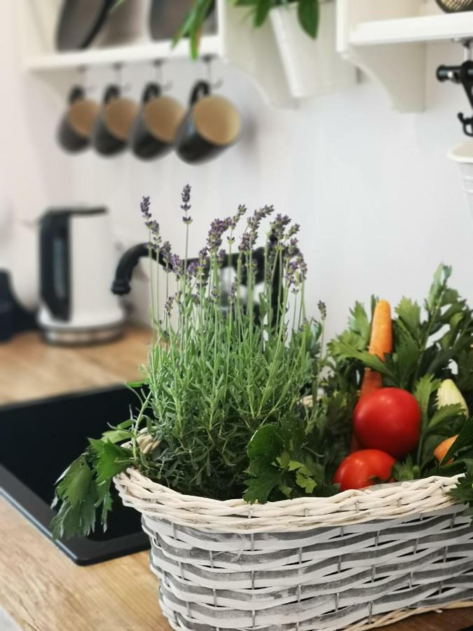 Spa Love Ceglana 1 A Sauna,,Jaccuzi Dla Dwojga Na Wylacznosc Zielona Góra Buitenkant foto